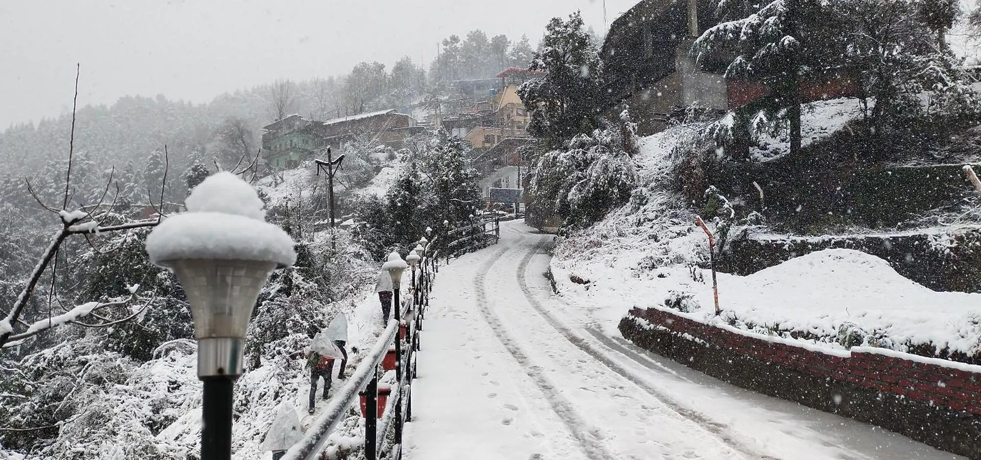 Regenta Resort Mars Valley View Shoghi Σίμλα