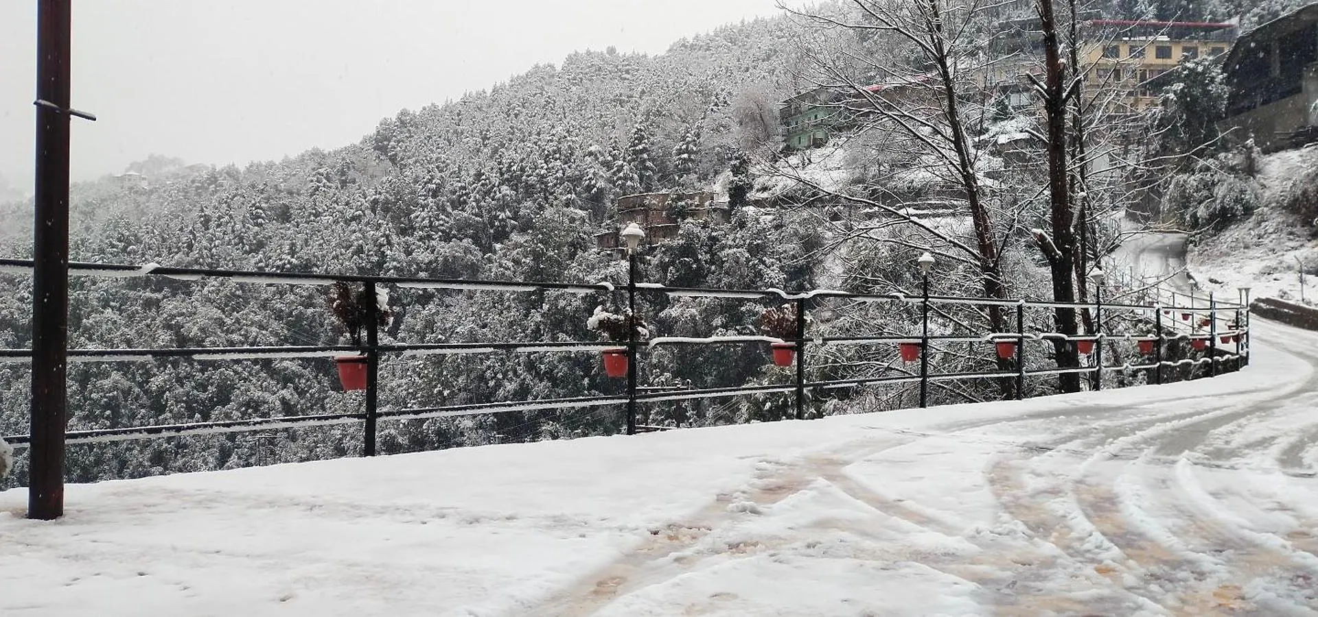Hotel Regenta Resort Mars Valley View Shoghi Shimla